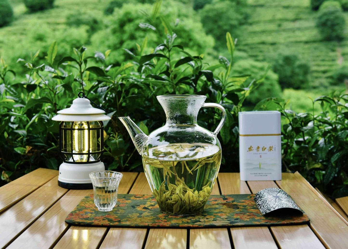 Anji White Tea — Premium Spring Chinese Green Tea (Single Origin)