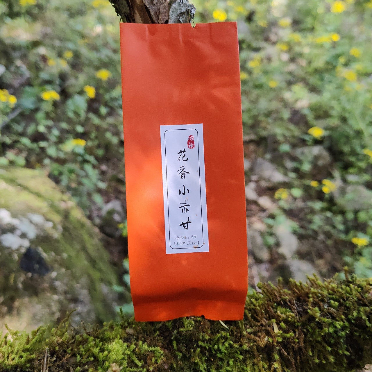 Xiao Chigan|Black Tea