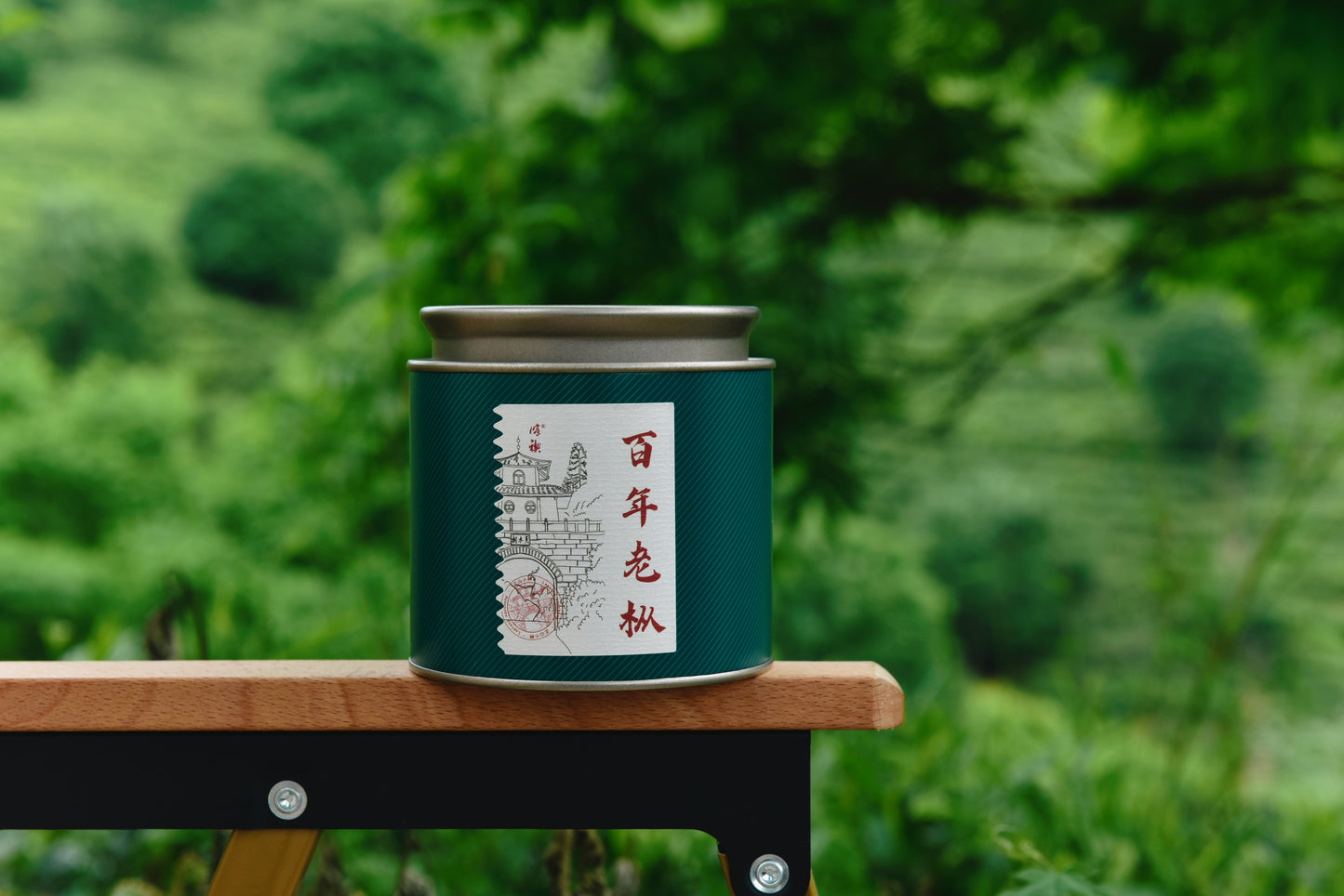 Centuries-old tea bushes｜Black Tea