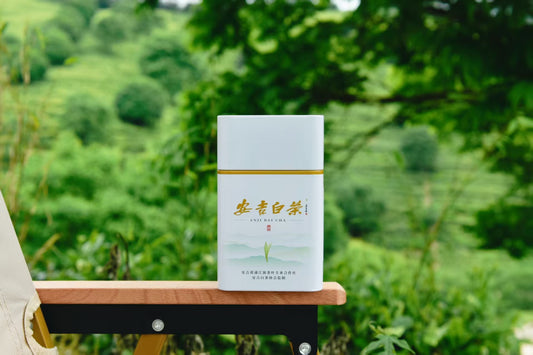 Anji White Tea｜Green Tea