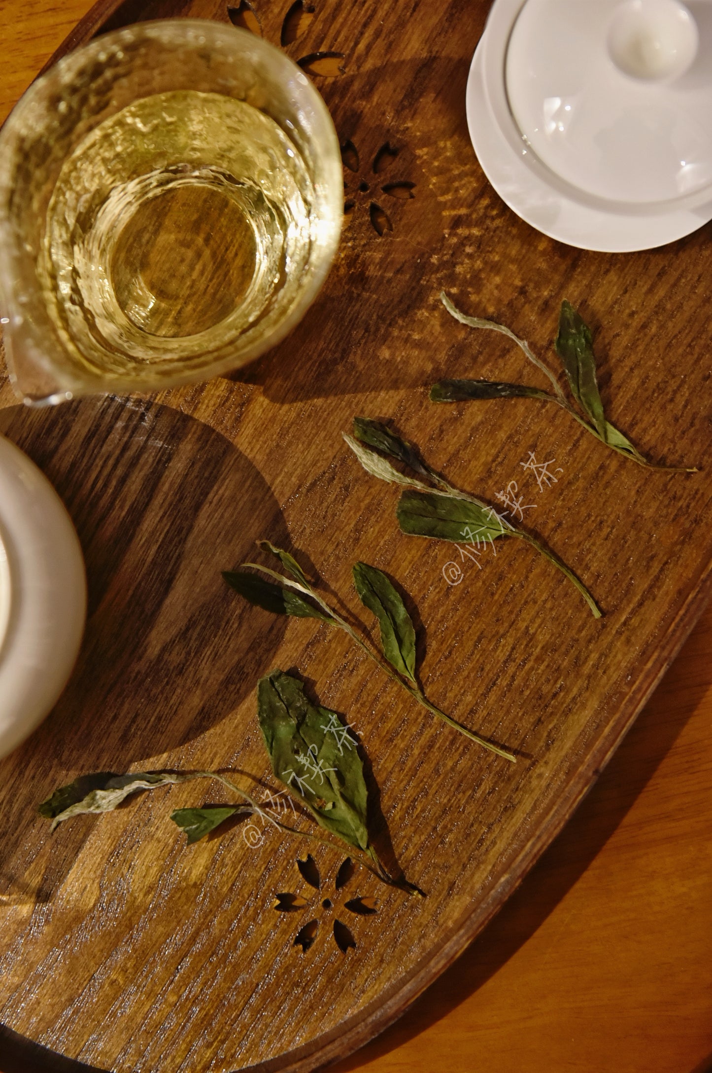 2024 Wild Spring Shou Mei  Panxi High Mountain Fuding White Tea