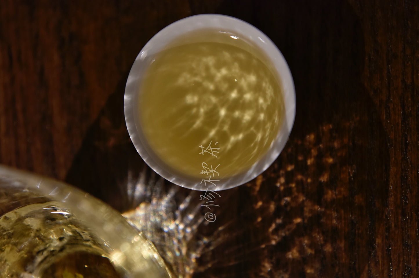 2024 Wild Spring Shou Mei  Panxi High Mountain Fuding White Tea