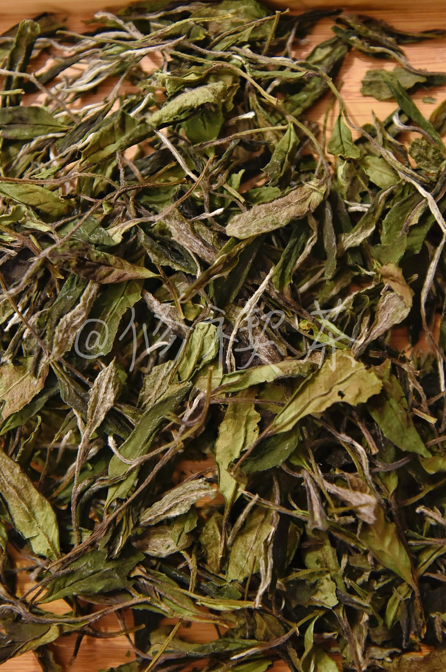 2024 Wild Spring Shou Mei  Panxi High Mountain Fuding White Tea