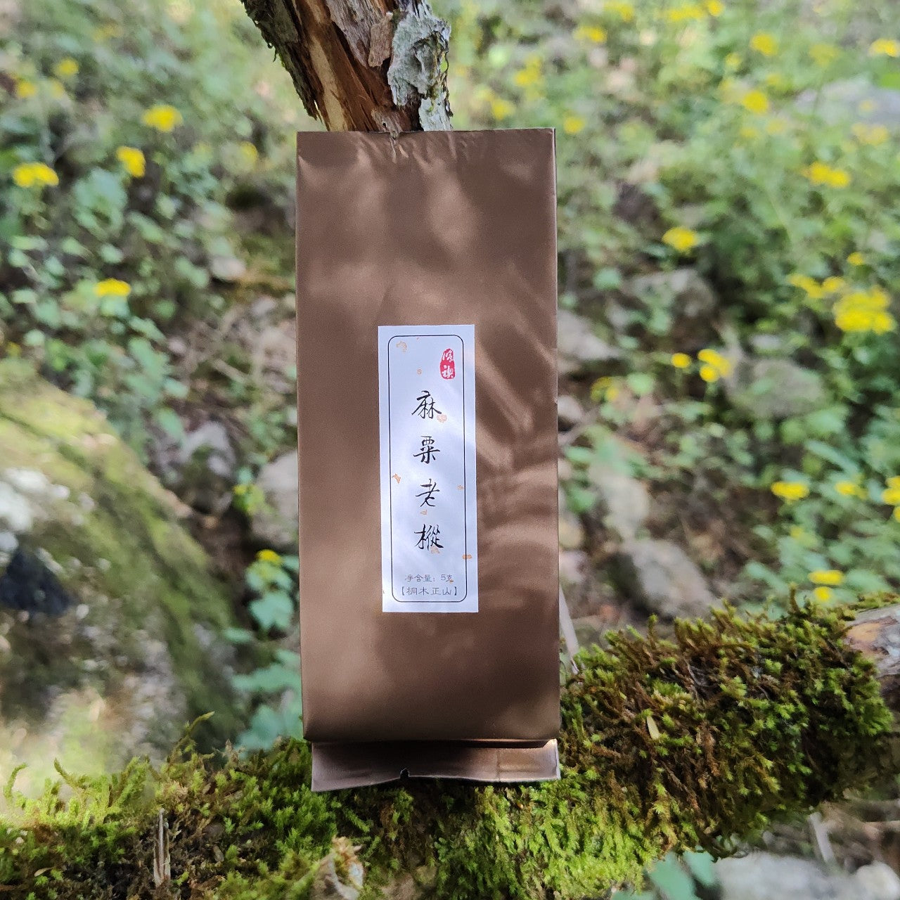 Masu Centuries-old tea bushes｜Black Tea