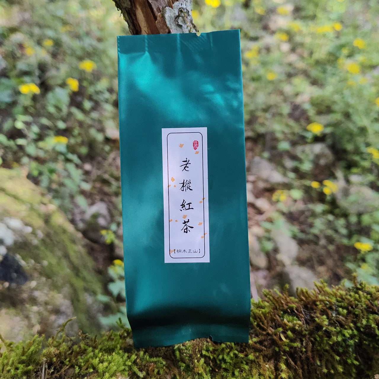 Centuries-old tea bushes｜Black Tea