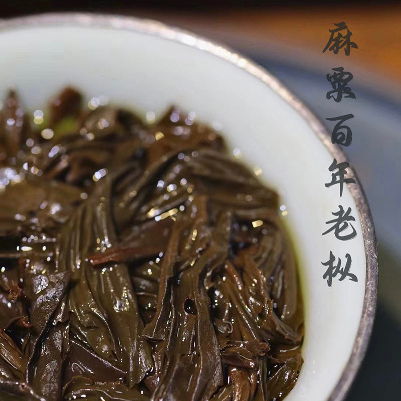 Masu Centuries-old tea bushes｜Black Tea