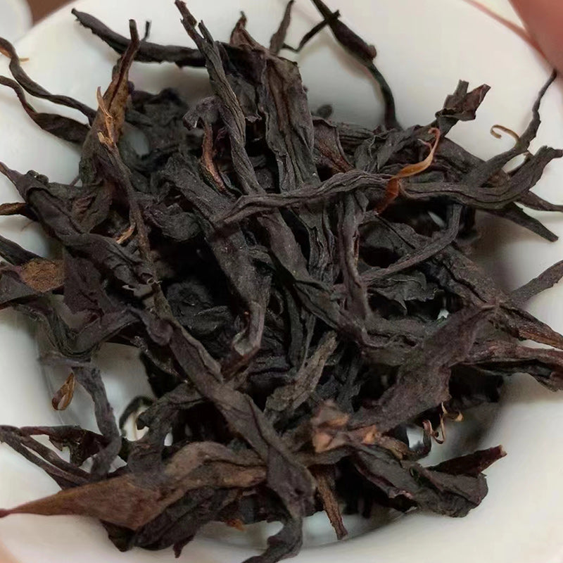 Centuries-old tea bushes｜Black Tea